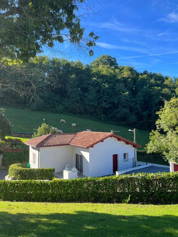 Le Bon Appart' Saint-Jean-Pied-de-Port Bagian luar foto
